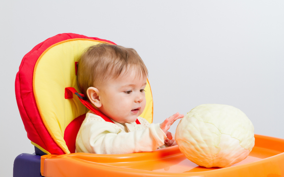 How to Choose the Best High Chair: Tips on Budget, Quality, and Key Features
