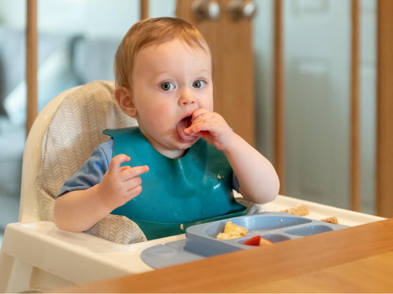 Baby High Chair