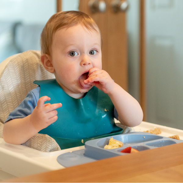 Baby High Chair