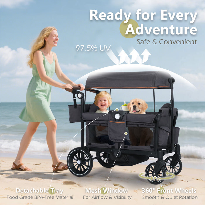 Push & Pull Wagon Stroller for 2 Toddler 6 months+, Gray