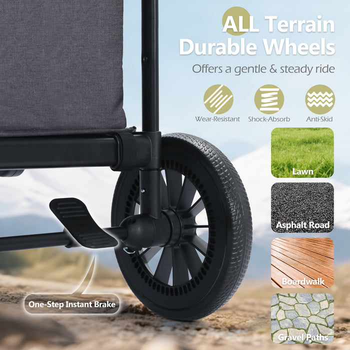 Push & Pull Wagon Stroller for 2 Toddler 6 months+, Gray